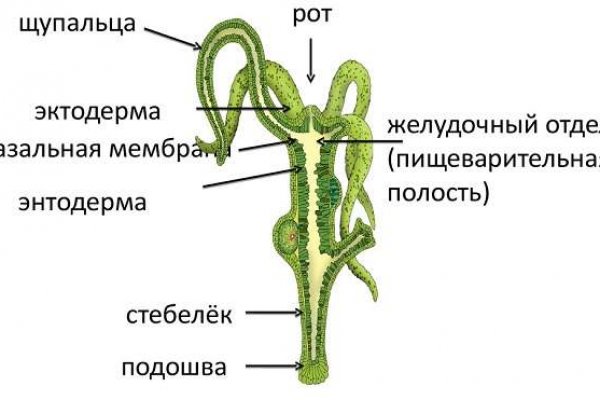 Кракен маркет darknet