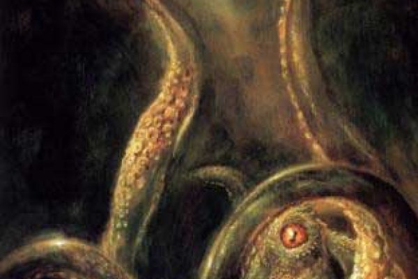 Kraken market