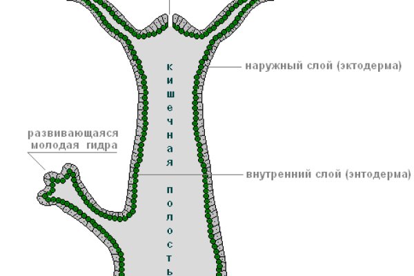 Кракен сайт даркнет зеркало