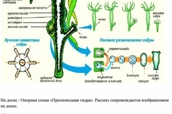 Кракен онион ссылки